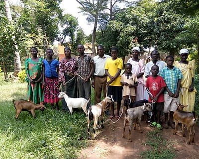 Families standing together with goats they have received through a household livelihood activity.