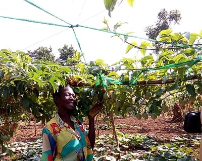 A woman standing among crops in a household garden plot.